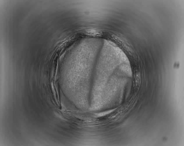 X0000098090320200805021052