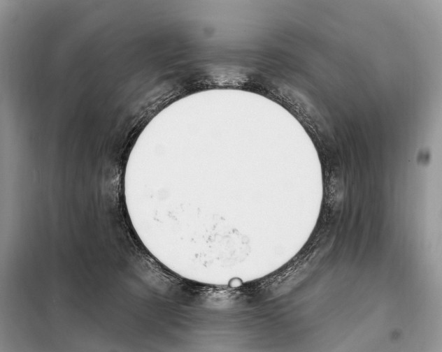 X0000098090321200805021052