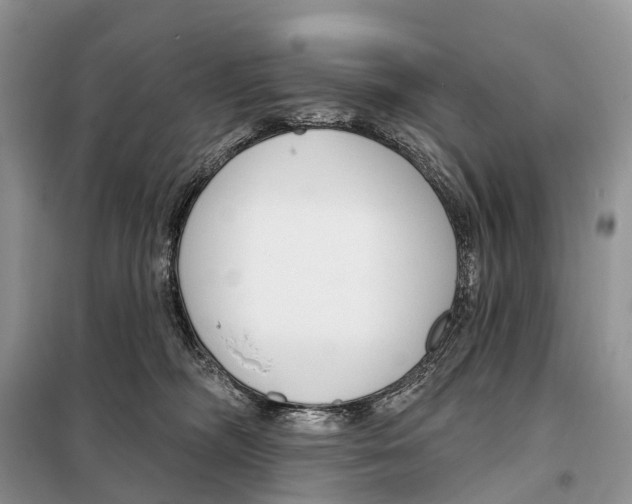 X0000098090326200805021052