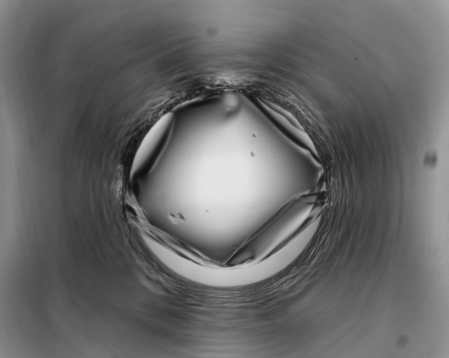 X0000098090328200805021052