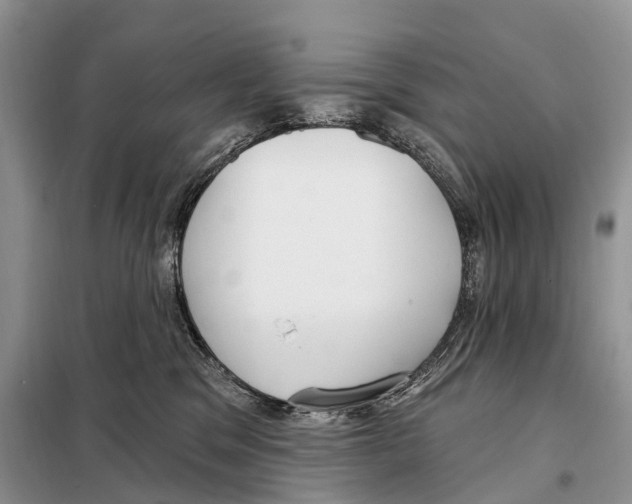 X0000098090329200805021052