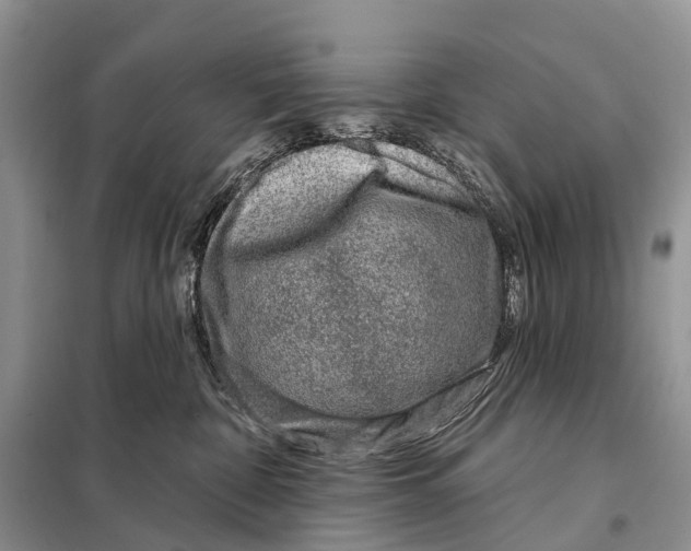 X0000098090332200805021052