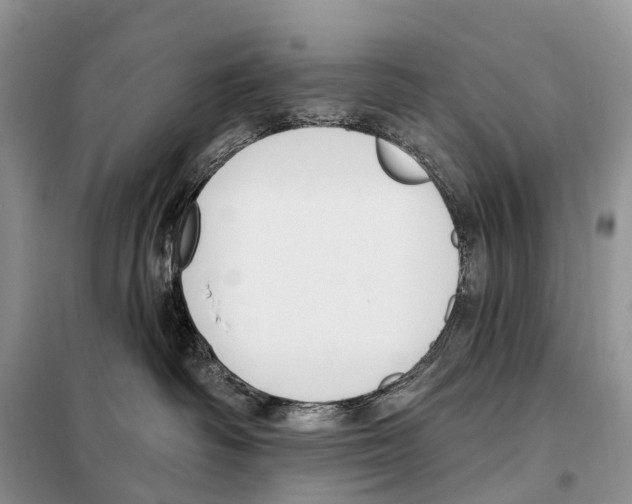 X0000098090334200805021051