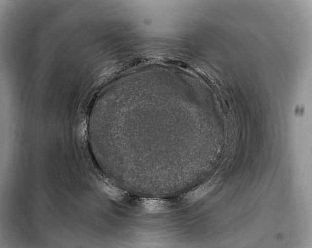 X0000098090336200805021051