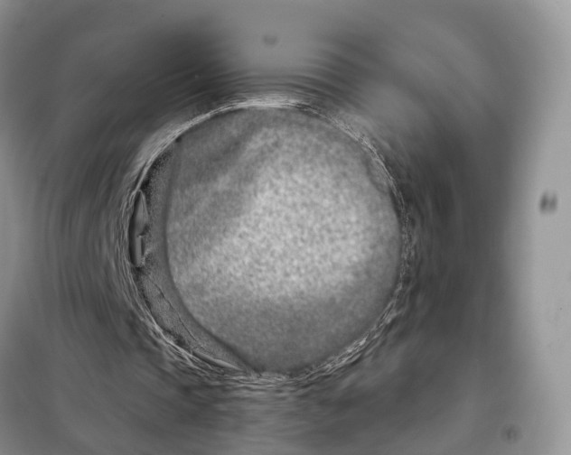 X0000098090337200805021051