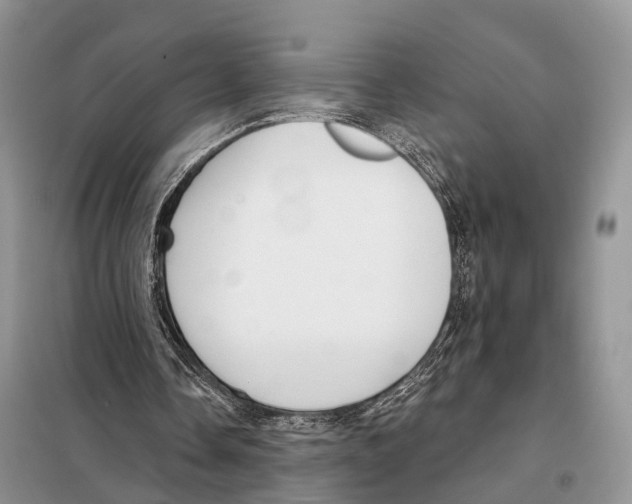 X0000098090338200805021051