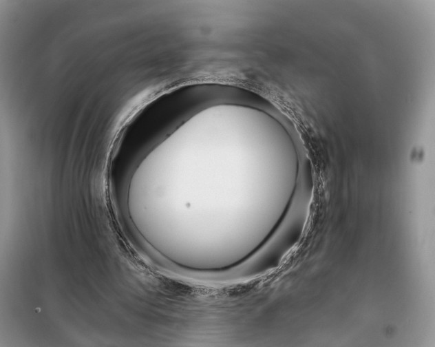 X0000098090340200805021051