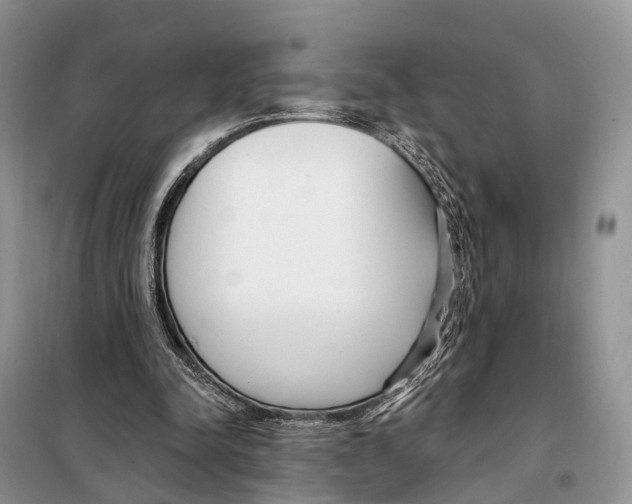 X0000098090342200805021051