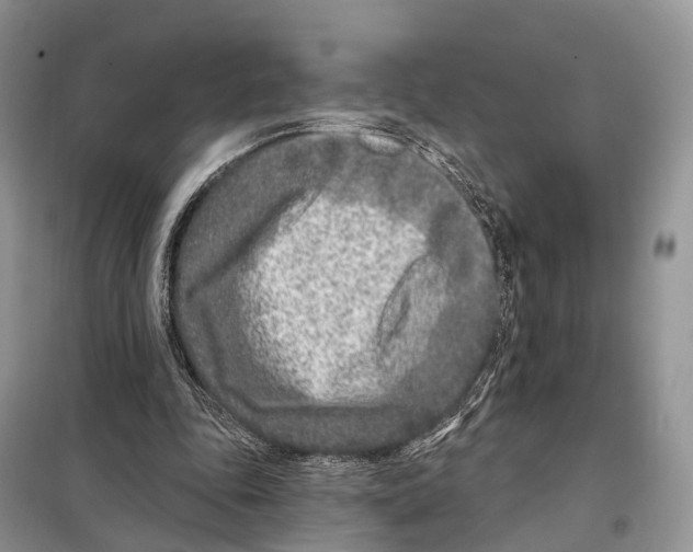 X0000098090343200805021051