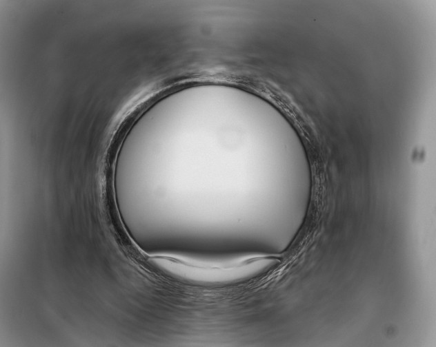 X0000098090344200805021051