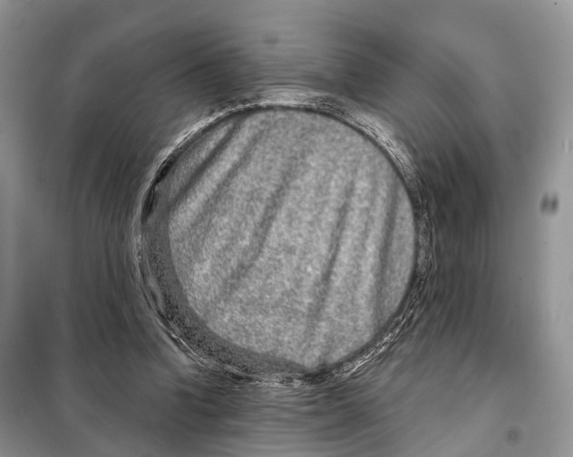 X0000098090346200805021051