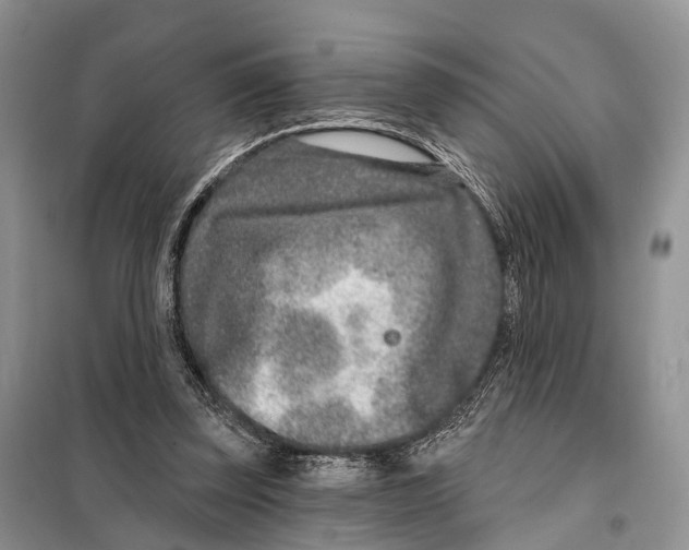 X0000098090347200805021051