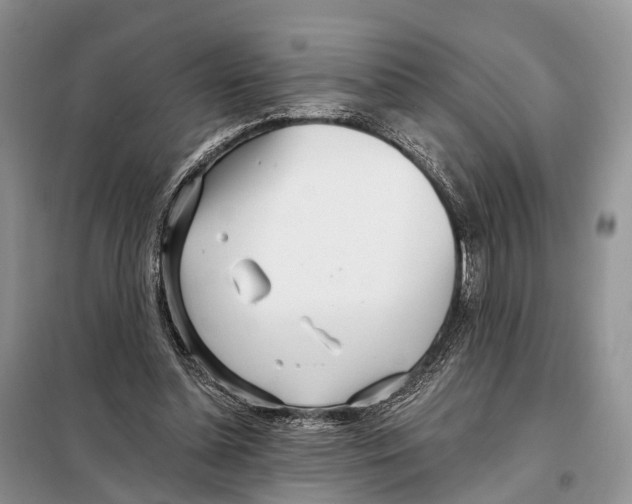 X0000098090348200805021051