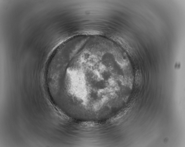 X0000098090351200805021051