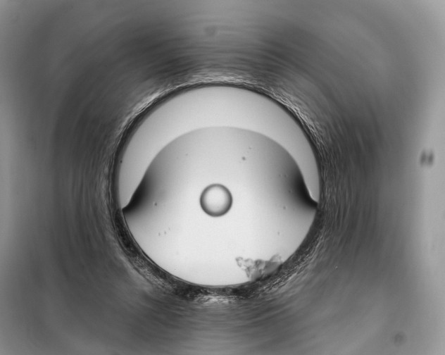 X0000098090352200805021051