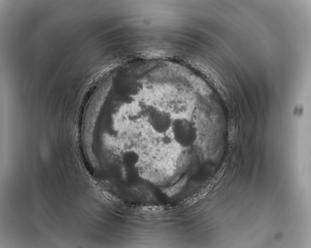 X0000098090353200805021051