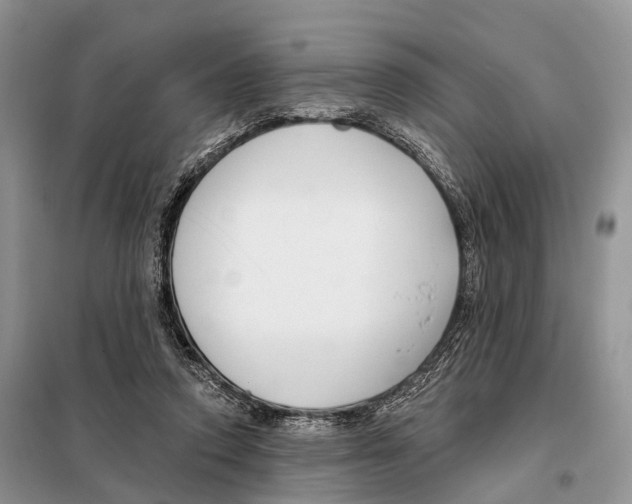 X0000098090354200805021051