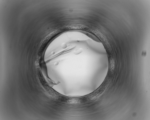 X0000098090356200805021051