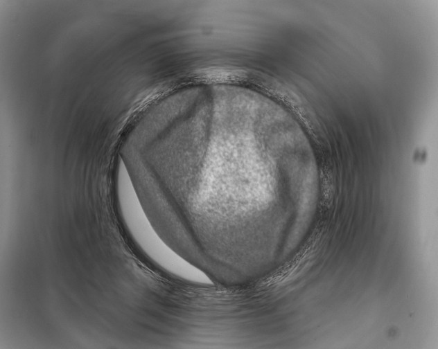 X0000098090357200805021051