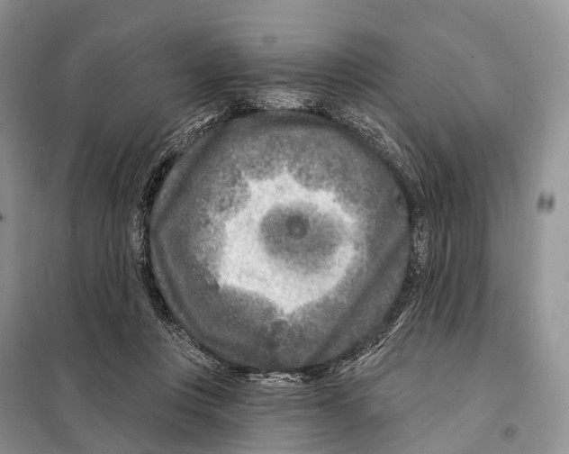 X0000098090359200805021051