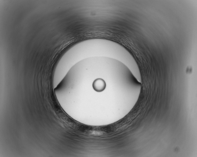 X0000098090360200805021051