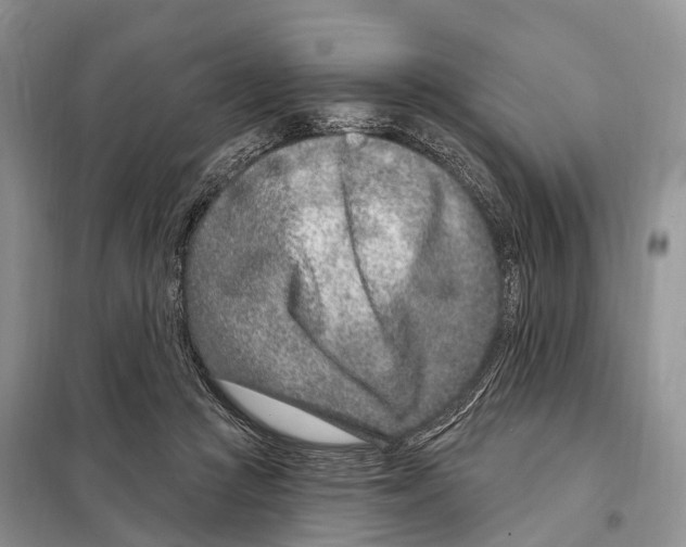 X0000098090361200805021051