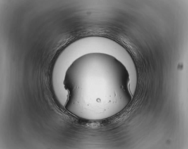 X0000098090362200805021051