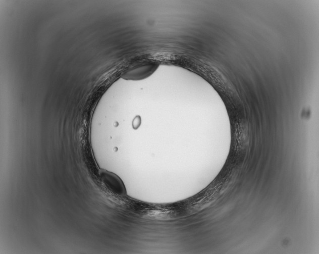 X0000098090364200805021051