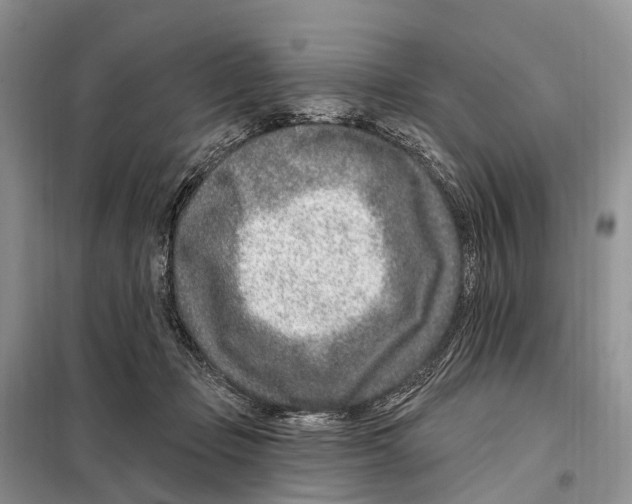 X0000098090365200805021051