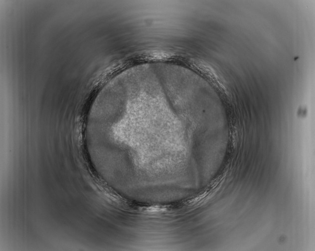 X0000098090366200805021051