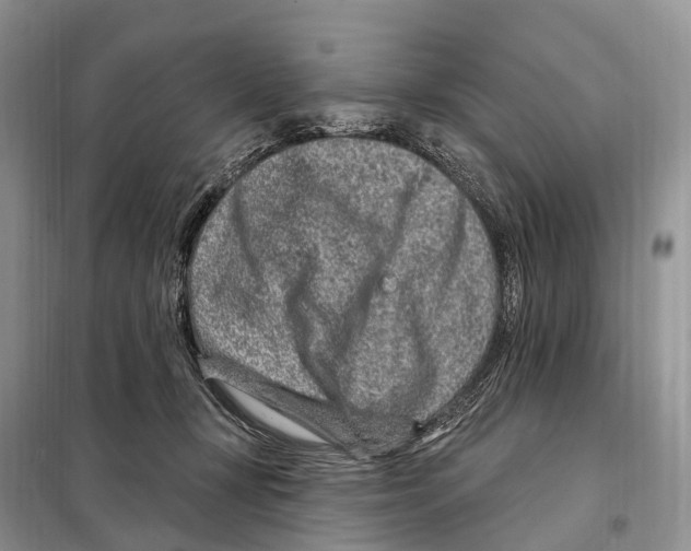 X0000098090367200805021051