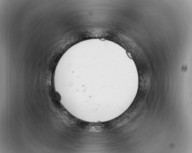 X0000098090368200805021051