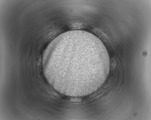 X0000098090369200805021051