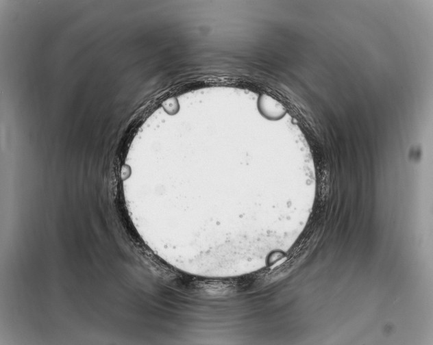 X0000098090370200805021051