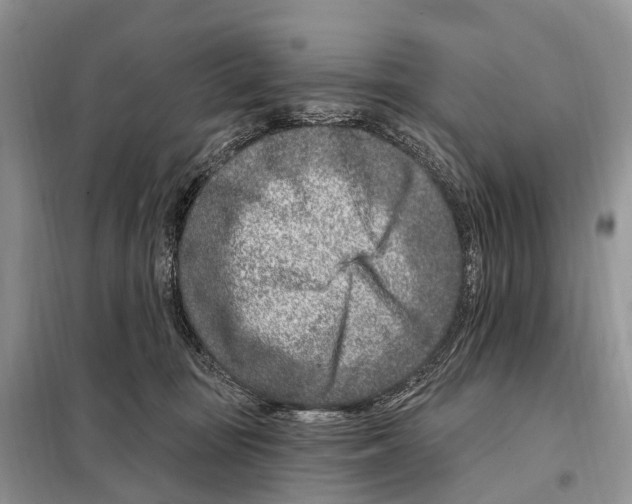 X0000098090371200805021051