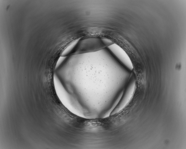 X0000098090372200805021051