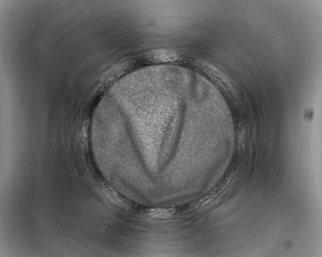 X0000098090373200805021051