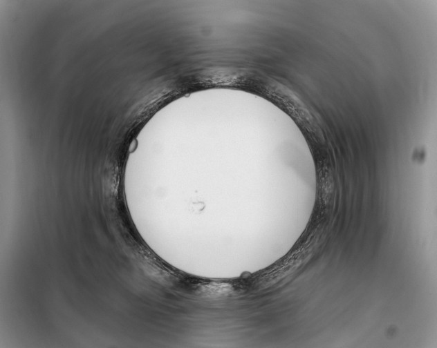 X0000098090374200805021051