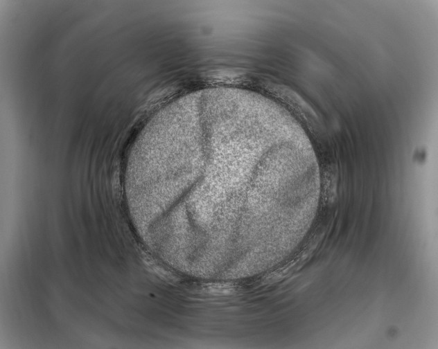 X0000098090377200805021051