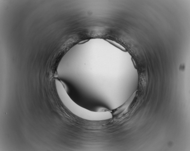 X0000098090380200805021051