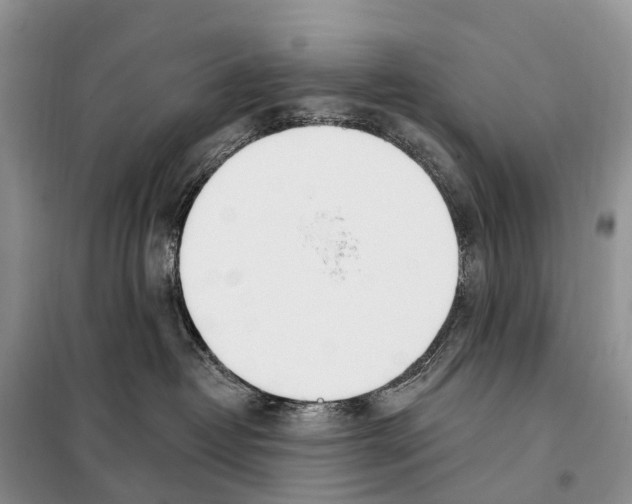 X0000098090382200805021051