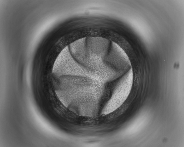 X0000098090383200805021051