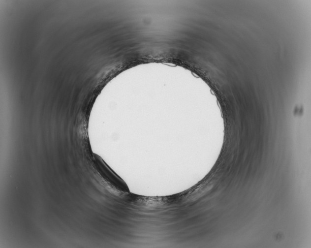 X0000098090384200805021051