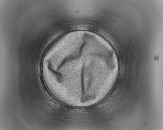 X0000098090386200805021051