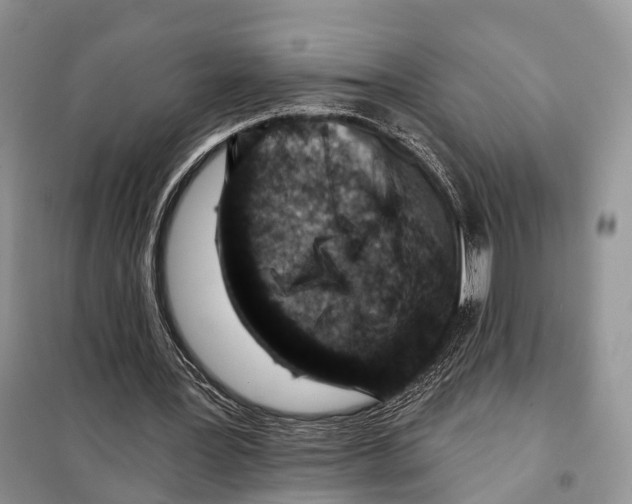 X0000098090387200805021051