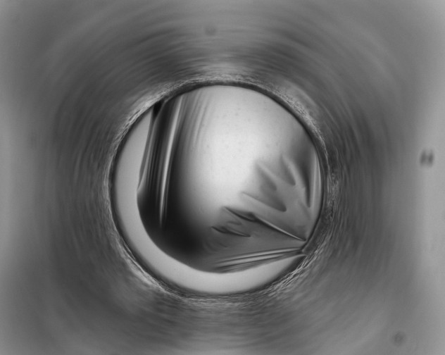 X0000098090389200805021051