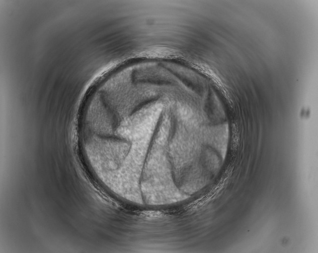 X0000098090392200805021051