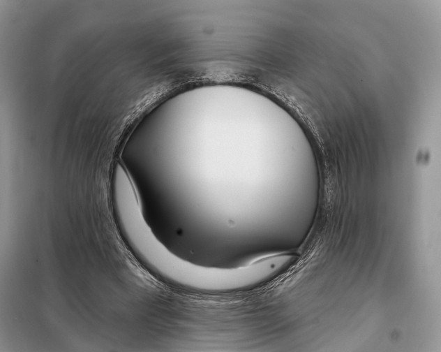 X0000098090393200805021051