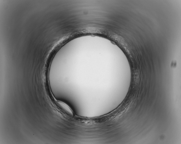 X0000098090395200805021050