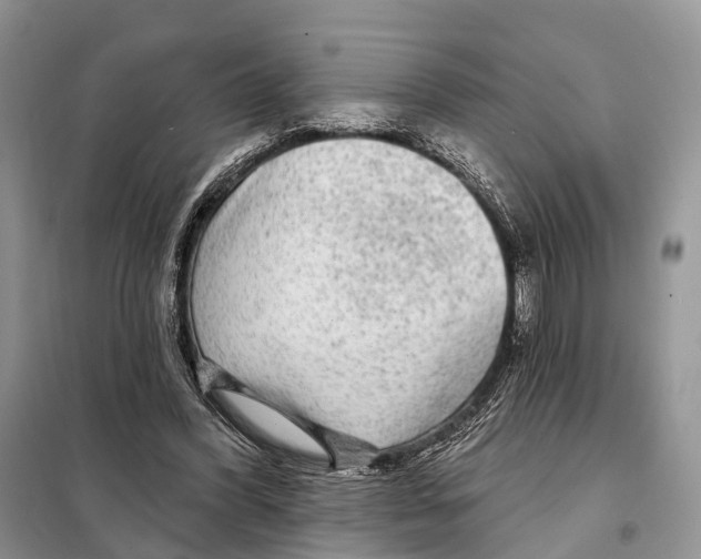 X0000098090396200805021050